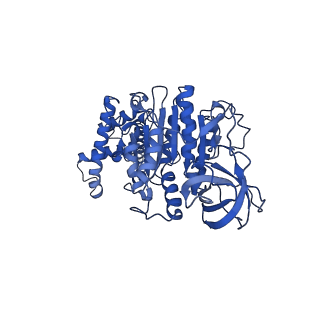 15565_8apc_F1_v1-0
rotational state 1c of the Trypanosoma brucei mitochondrial ATP synthase dimer