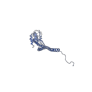 15565_8apc_G1_v1-0
rotational state 1c of the Trypanosoma brucei mitochondrial ATP synthase dimer