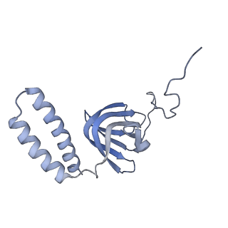 15565_8apc_H1_v1-0
rotational state 1c of the Trypanosoma brucei mitochondrial ATP synthase dimer
