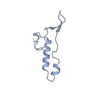 15565_8apc_I1_v1-0
rotational state 1c of the Trypanosoma brucei mitochondrial ATP synthase dimer