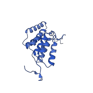 15565_8apc_K1_v1-0
rotational state 1c of the Trypanosoma brucei mitochondrial ATP synthase dimer