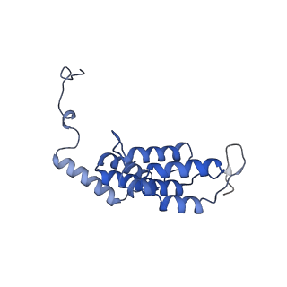 15565_8apc_L1_v1-0
rotational state 1c of the Trypanosoma brucei mitochondrial ATP synthase dimer