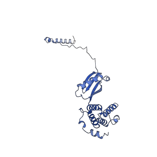 15565_8apc_M1_v1-0
rotational state 1c of the Trypanosoma brucei mitochondrial ATP synthase dimer
