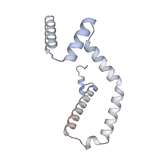 15565_8apc_M_v1-0
rotational state 1c of the Trypanosoma brucei mitochondrial ATP synthase dimer