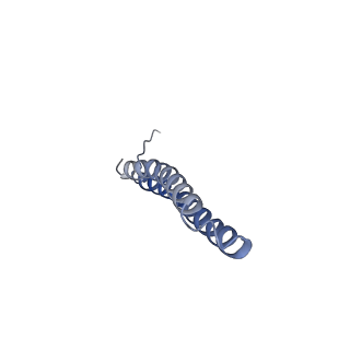 15565_8apc_O1_v1-0
rotational state 1c of the Trypanosoma brucei mitochondrial ATP synthase dimer
