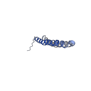15565_8apc_S1_v1-0
rotational state 1c of the Trypanosoma brucei mitochondrial ATP synthase dimer