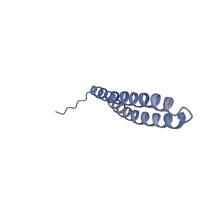 15565_8apc_T1_v1-0
rotational state 1c of the Trypanosoma brucei mitochondrial ATP synthase dimer