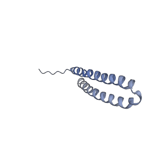 15565_8apc_U1_v1-0
rotational state 1c of the Trypanosoma brucei mitochondrial ATP synthase dimer