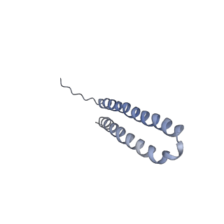 15565_8apc_V1_v1-0
rotational state 1c of the Trypanosoma brucei mitochondrial ATP synthase dimer