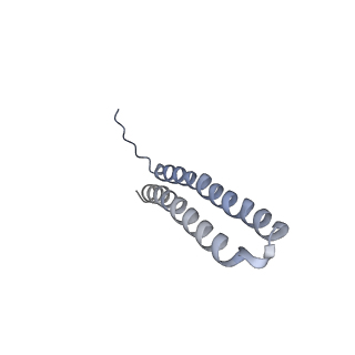 15565_8apc_W1_v1-0
rotational state 1c of the Trypanosoma brucei mitochondrial ATP synthase dimer