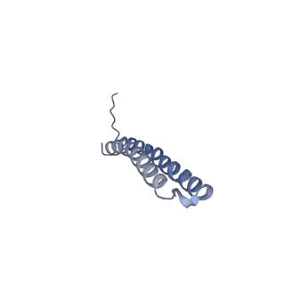15565_8apc_X1_v1-0
rotational state 1c of the Trypanosoma brucei mitochondrial ATP synthase dimer