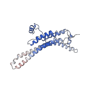 15565_8apc_a_v1-0
rotational state 1c of the Trypanosoma brucei mitochondrial ATP synthase dimer