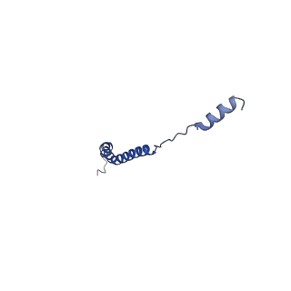 15565_8apc_c_v1-0
rotational state 1c of the Trypanosoma brucei mitochondrial ATP synthase dimer