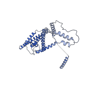15565_8apc_d_v1-0
rotational state 1c of the Trypanosoma brucei mitochondrial ATP synthase dimer
