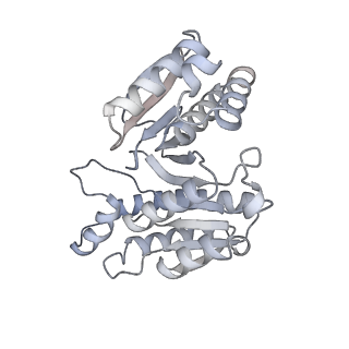 15565_8apc_g_v1-0
rotational state 1c of the Trypanosoma brucei mitochondrial ATP synthase dimer
