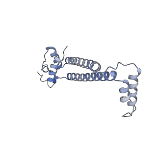 15565_8apc_j_v1-0
rotational state 1c of the Trypanosoma brucei mitochondrial ATP synthase dimer