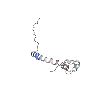 15565_8apc_k_v1-0
rotational state 1c of the Trypanosoma brucei mitochondrial ATP synthase dimer