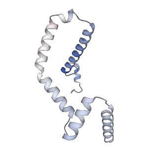 15565_8apc_m_v1-0
rotational state 1c of the Trypanosoma brucei mitochondrial ATP synthase dimer