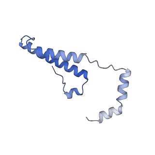 15565_8apc_o_v1-0
rotational state 1c of the Trypanosoma brucei mitochondrial ATP synthase dimer