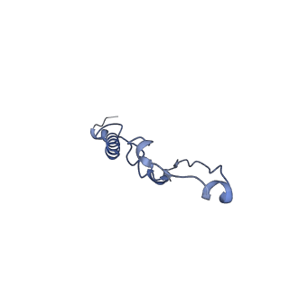15565_8apc_p_v1-0
rotational state 1c of the Trypanosoma brucei mitochondrial ATP synthase dimer