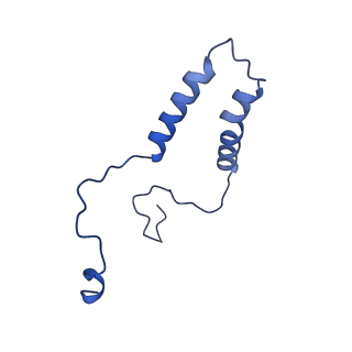 15565_8apc_q_v1-0
rotational state 1c of the Trypanosoma brucei mitochondrial ATP synthase dimer