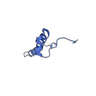 15565_8apc_r_v1-0
rotational state 1c of the Trypanosoma brucei mitochondrial ATP synthase dimer