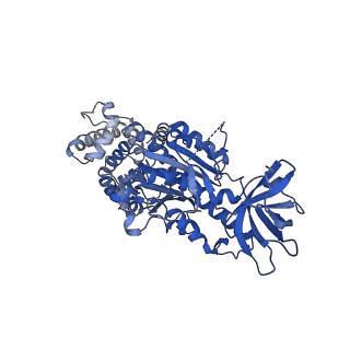 15566_8apd_C1_v1-0
rotational state 1d of the Trypanosoma brucei mitochondrial ATP synthase dimer