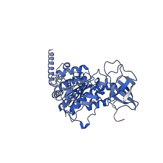 15566_8apd_D1_v1-0
rotational state 1d of the Trypanosoma brucei mitochondrial ATP synthase dimer