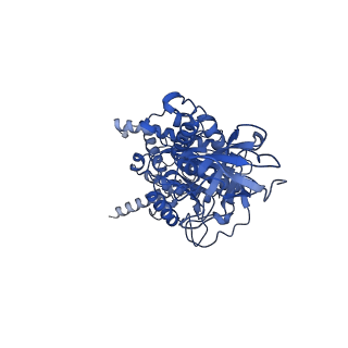 15566_8apd_E1_v1-0
rotational state 1d of the Trypanosoma brucei mitochondrial ATP synthase dimer