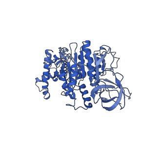 15566_8apd_F1_v1-0
rotational state 1d of the Trypanosoma brucei mitochondrial ATP synthase dimer