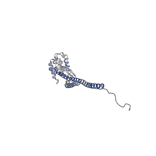 15566_8apd_G1_v1-0
rotational state 1d of the Trypanosoma brucei mitochondrial ATP synthase dimer