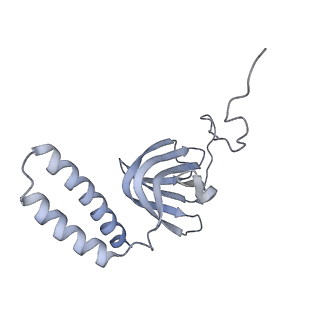 15566_8apd_H1_v1-0
rotational state 1d of the Trypanosoma brucei mitochondrial ATP synthase dimer