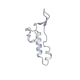 15566_8apd_I1_v1-0
rotational state 1d of the Trypanosoma brucei mitochondrial ATP synthase dimer