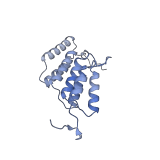 15566_8apd_K1_v1-0
rotational state 1d of the Trypanosoma brucei mitochondrial ATP synthase dimer