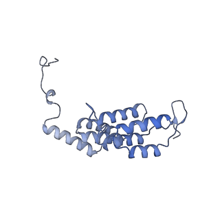 15566_8apd_L1_v1-0
rotational state 1d of the Trypanosoma brucei mitochondrial ATP synthase dimer