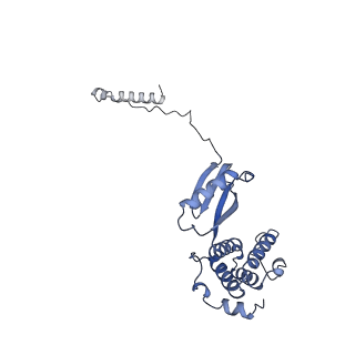15566_8apd_M1_v1-0
rotational state 1d of the Trypanosoma brucei mitochondrial ATP synthase dimer