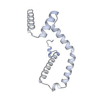 15566_8apd_M_v1-0
rotational state 1d of the Trypanosoma brucei mitochondrial ATP synthase dimer