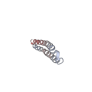 15566_8apd_P1_v1-0
rotational state 1d of the Trypanosoma brucei mitochondrial ATP synthase dimer