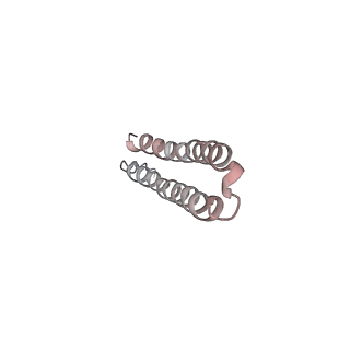 15566_8apd_Q1_v1-0
rotational state 1d of the Trypanosoma brucei mitochondrial ATP synthase dimer