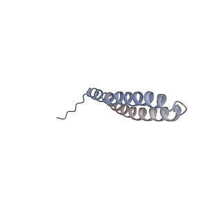 15566_8apd_T1_v1-0
rotational state 1d of the Trypanosoma brucei mitochondrial ATP synthase dimer