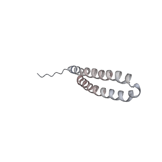 15566_8apd_U1_v1-0
rotational state 1d of the Trypanosoma brucei mitochondrial ATP synthase dimer