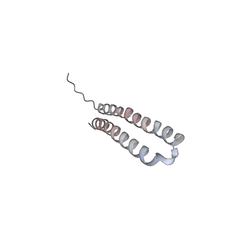 15566_8apd_W1_v1-0
rotational state 1d of the Trypanosoma brucei mitochondrial ATP synthase dimer
