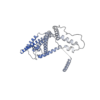 15566_8apd_d_v1-0
rotational state 1d of the Trypanosoma brucei mitochondrial ATP synthase dimer