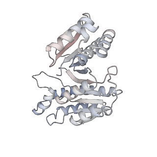 15566_8apd_g_v1-0
rotational state 1d of the Trypanosoma brucei mitochondrial ATP synthase dimer