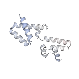 15566_8apd_h_v1-0
rotational state 1d of the Trypanosoma brucei mitochondrial ATP synthase dimer