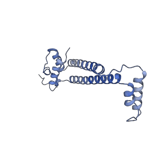 15566_8apd_j_v1-0
rotational state 1d of the Trypanosoma brucei mitochondrial ATP synthase dimer