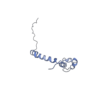 15566_8apd_k_v1-0
rotational state 1d of the Trypanosoma brucei mitochondrial ATP synthase dimer