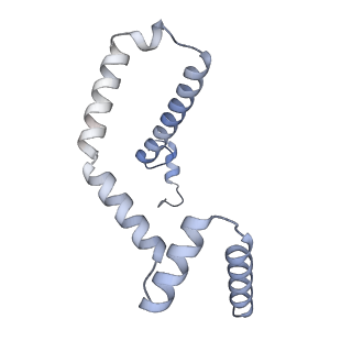 15566_8apd_m_v1-0
rotational state 1d of the Trypanosoma brucei mitochondrial ATP synthase dimer