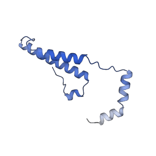 15566_8apd_o_v1-0
rotational state 1d of the Trypanosoma brucei mitochondrial ATP synthase dimer