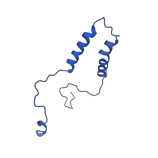 15566_8apd_q_v1-0
rotational state 1d of the Trypanosoma brucei mitochondrial ATP synthase dimer